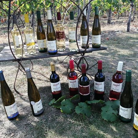 Ferienweingut Winnebeck Kowerich ภายนอก รูปภาพ