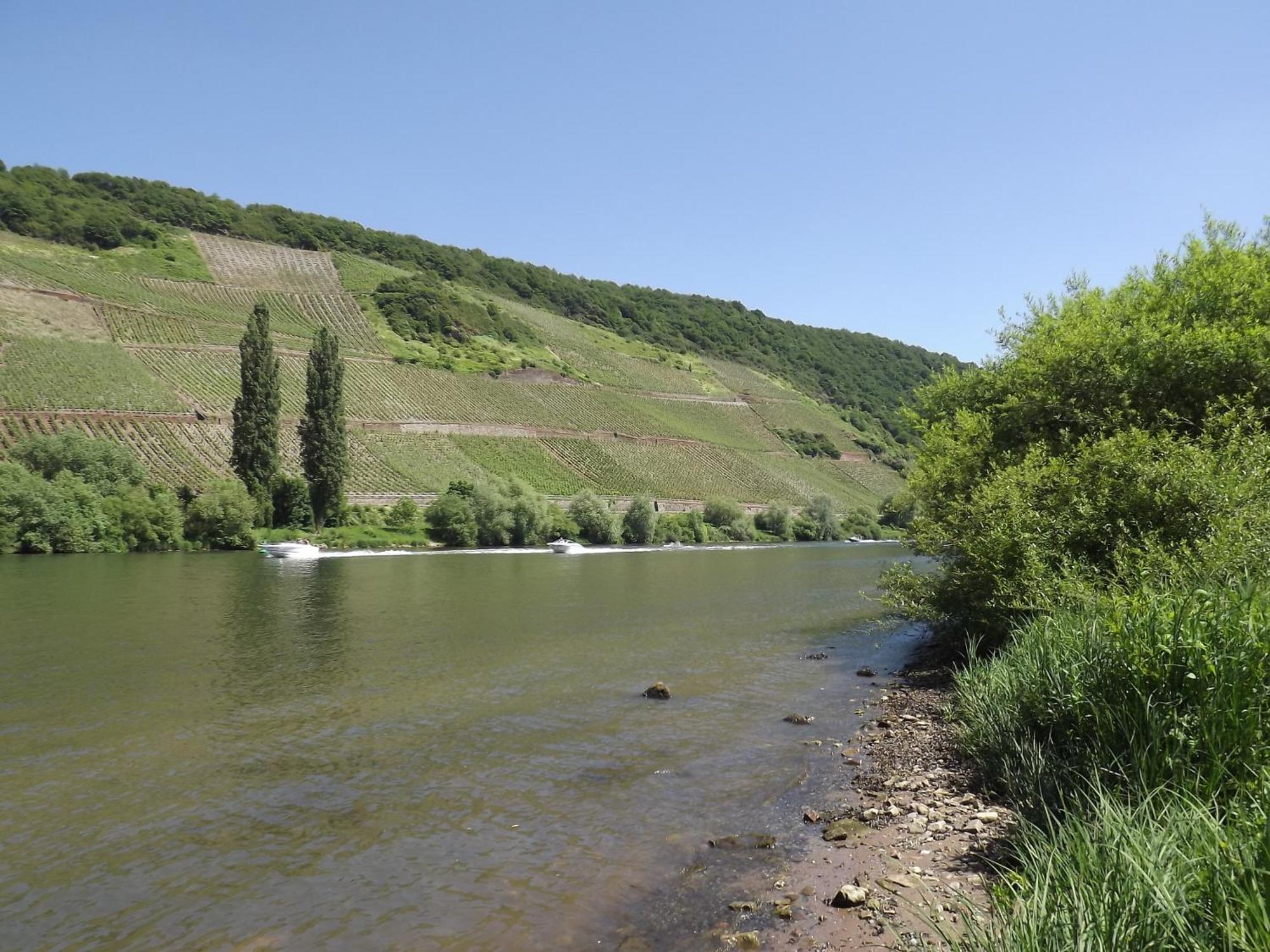 Ferienweingut Winnebeck Kowerich ห้อง รูปภาพ