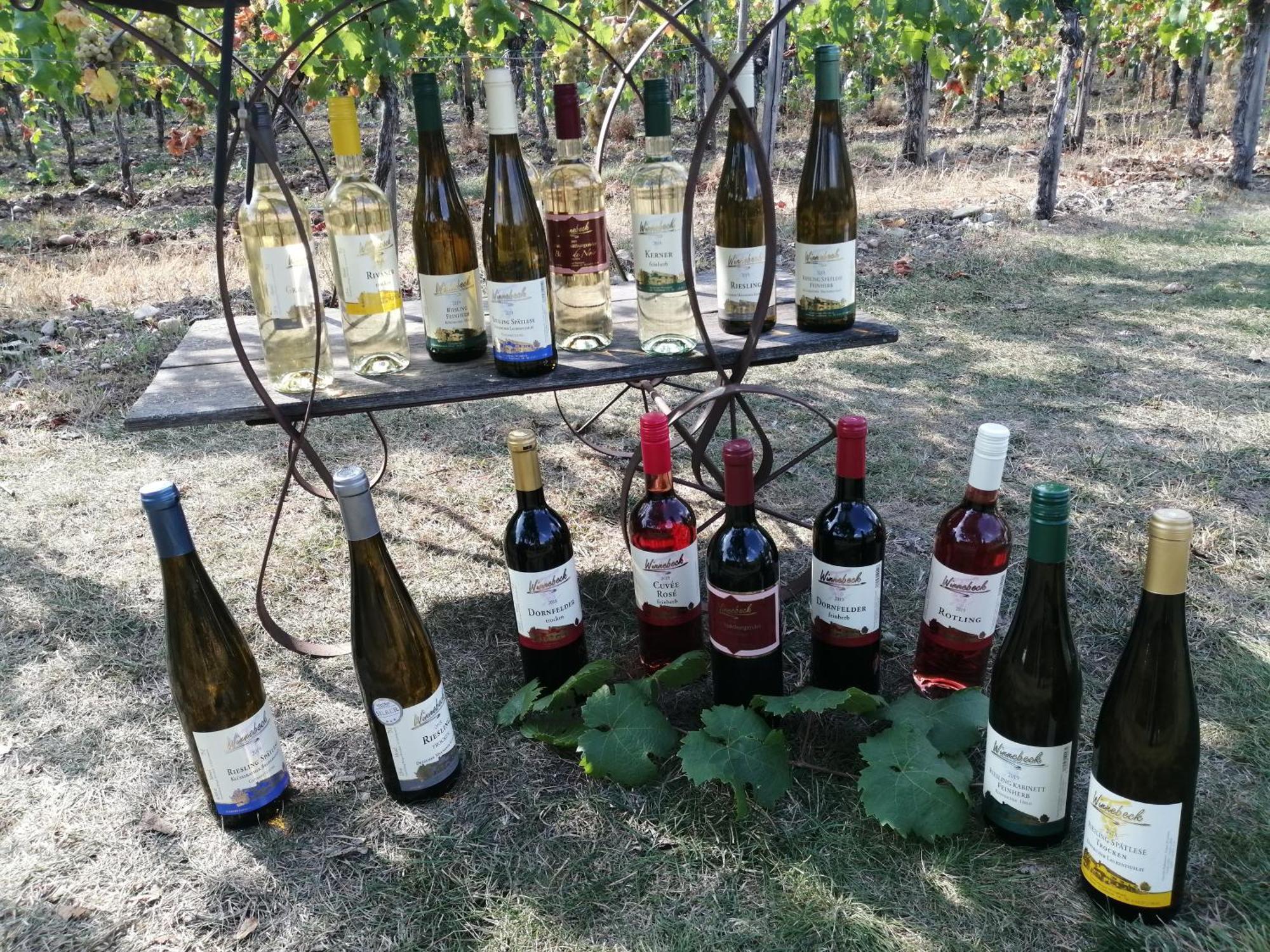 Ferienweingut Winnebeck Kowerich ภายนอก รูปภาพ