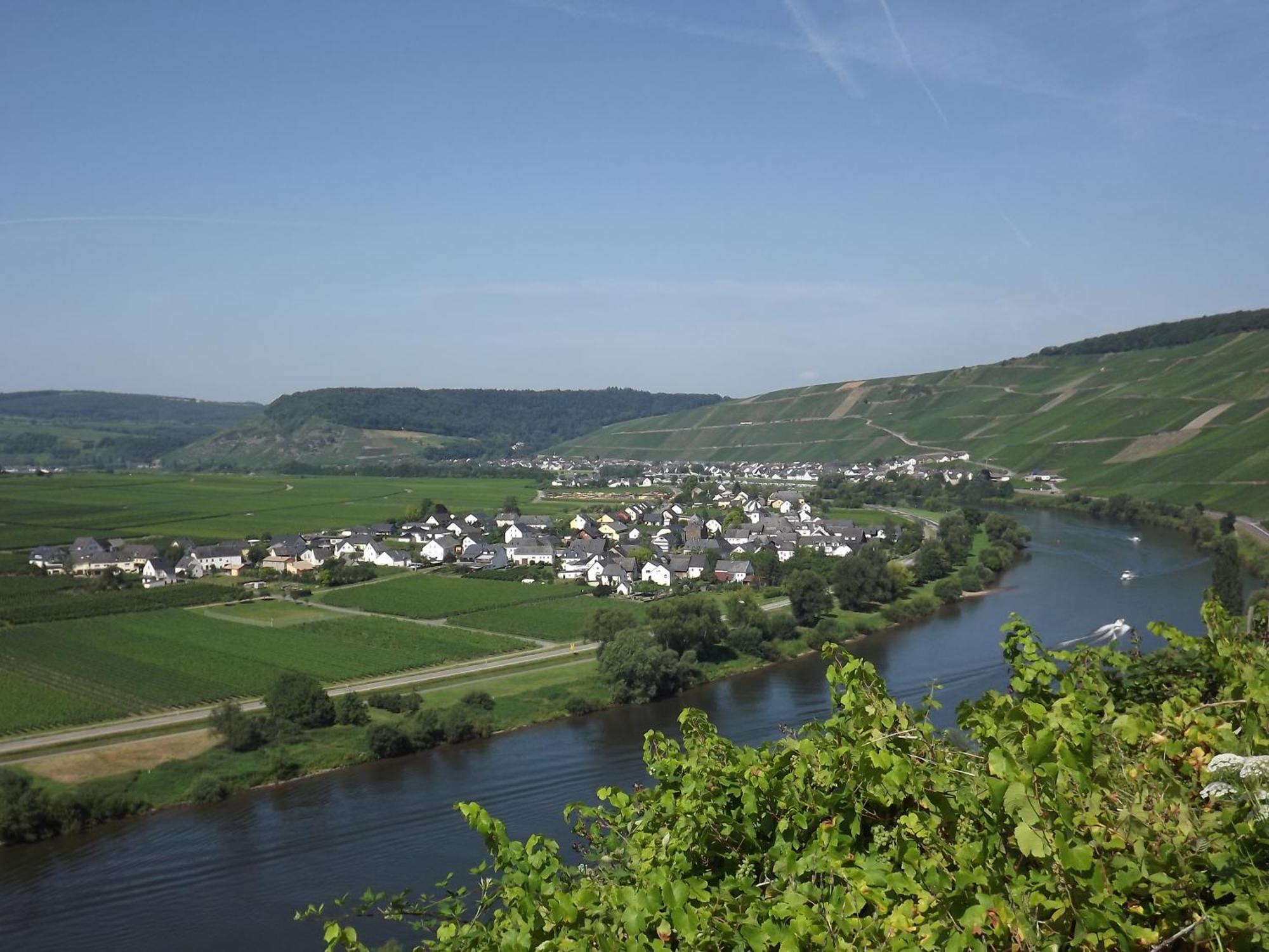 Ferienweingut Winnebeck Kowerich ห้อง รูปภาพ