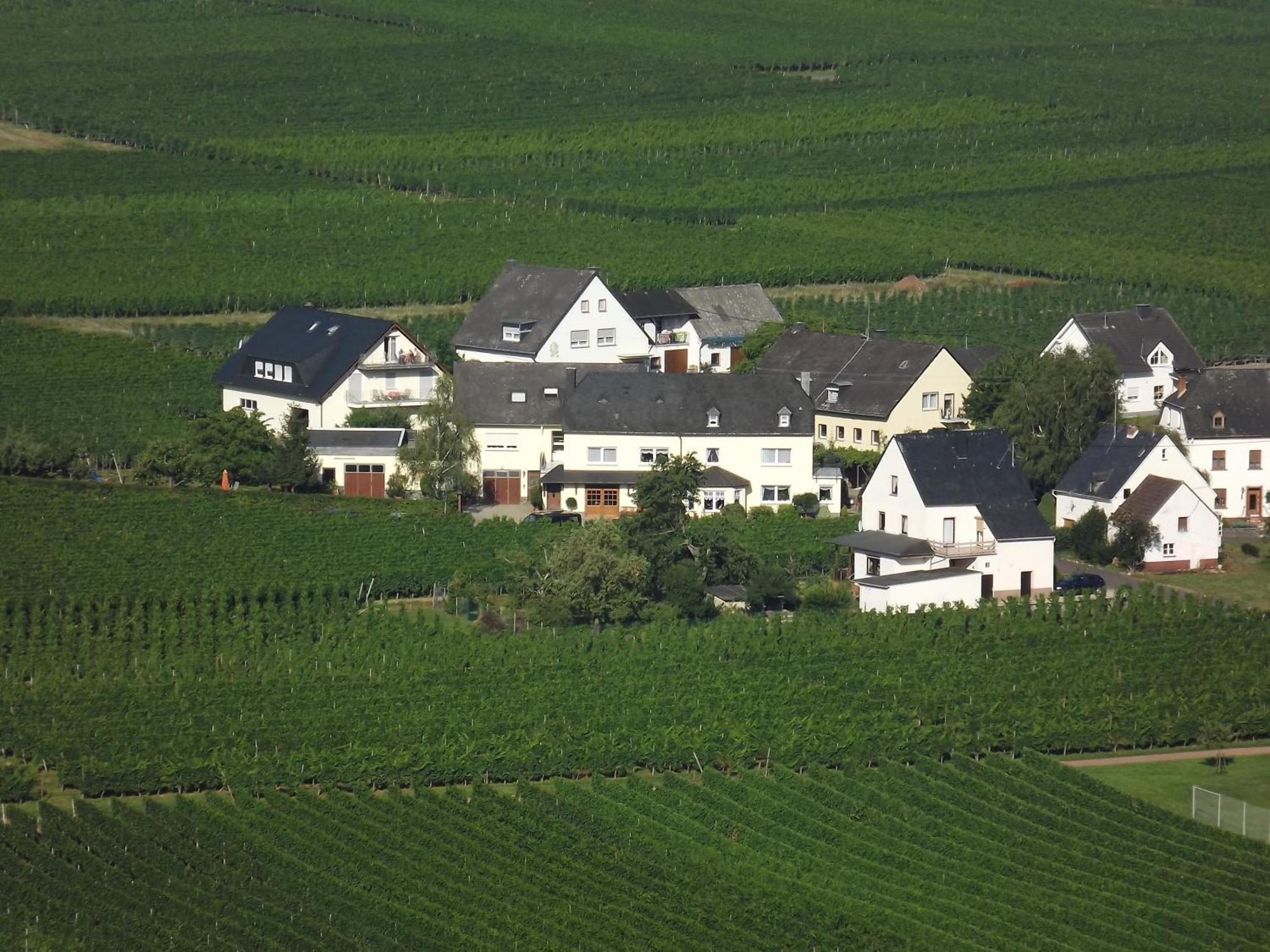 Ferienweingut Winnebeck Kowerich ห้อง รูปภาพ