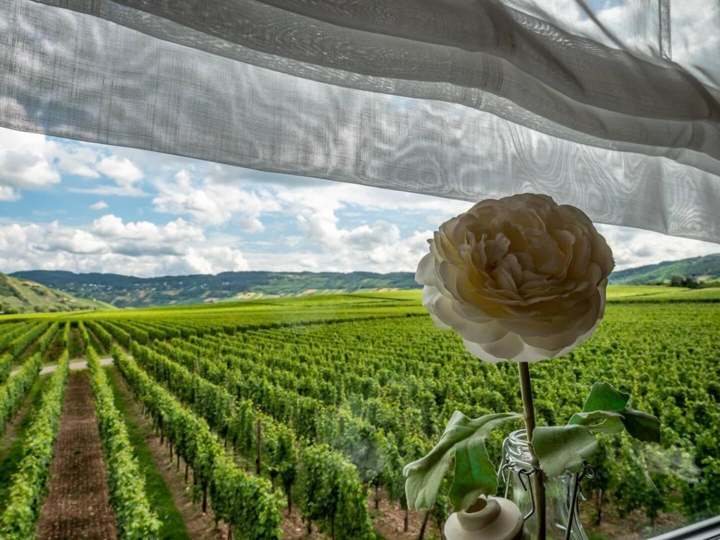 Ferienweingut Winnebeck Kowerich ภายนอก รูปภาพ