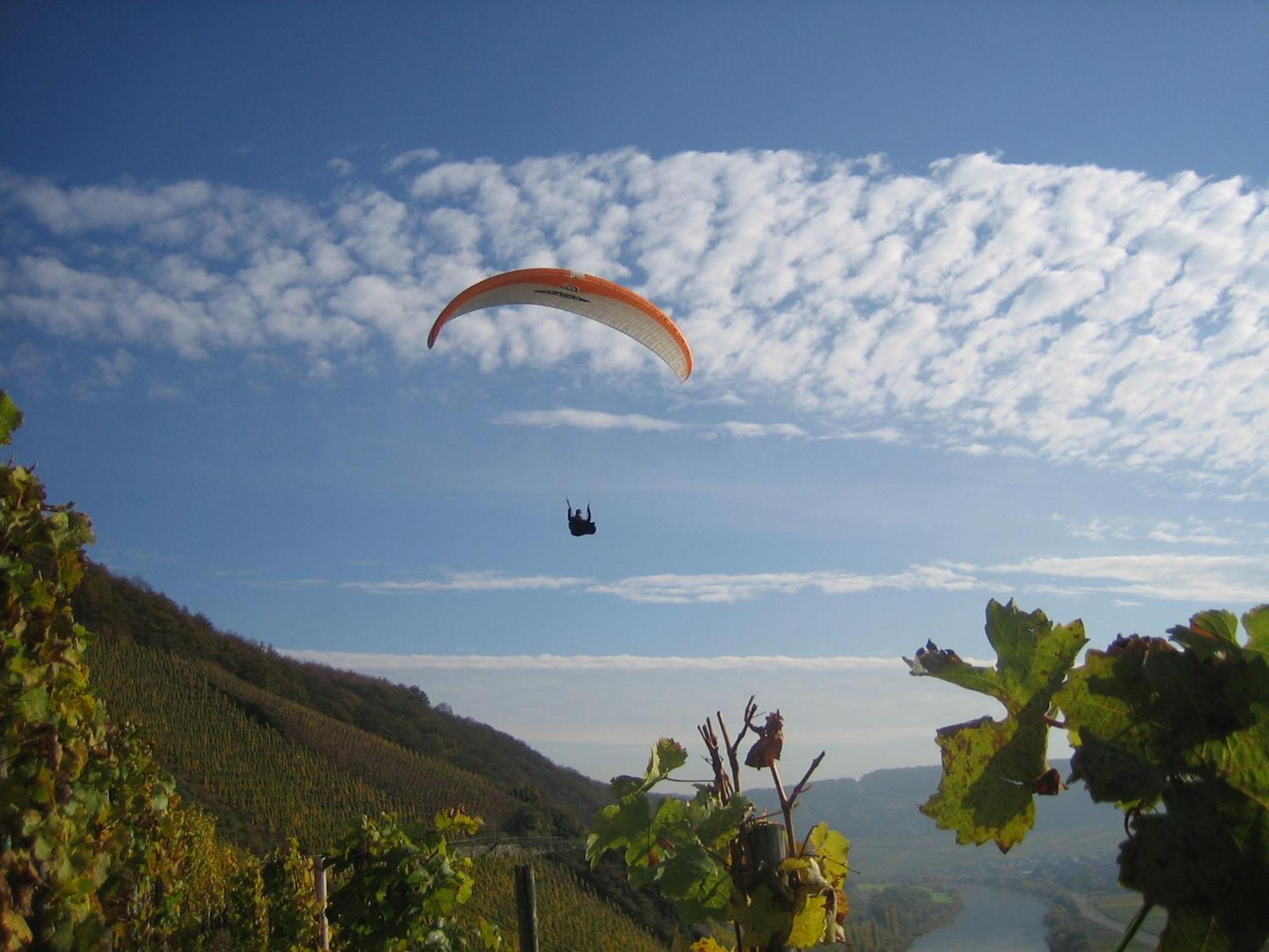 Ferienweingut Winnebeck Kowerich ภายนอก รูปภาพ