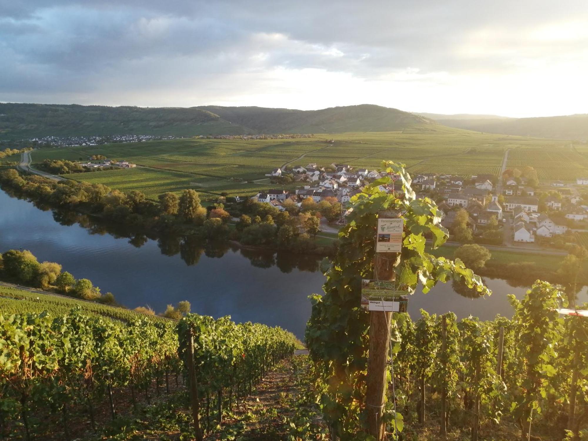 Ferienweingut Winnebeck Kowerich ภายนอก รูปภาพ