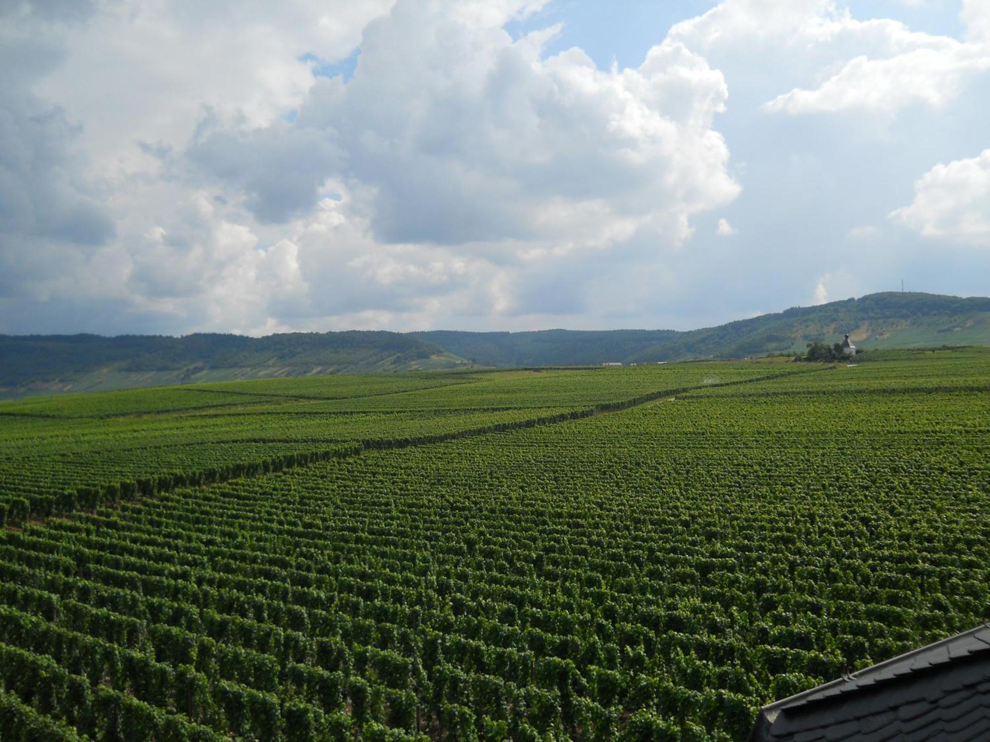 Ferienweingut Winnebeck Kowerich ภายนอก รูปภาพ