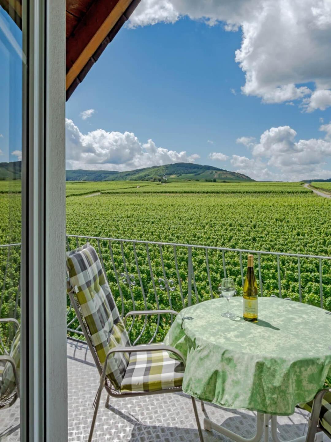 Ferienweingut Winnebeck Kowerich ภายนอก รูปภาพ